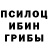 Псилоцибиновые грибы Psilocybine cubensis Cassafied product
