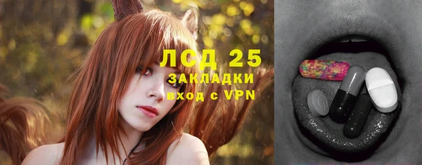 гашик Бородино