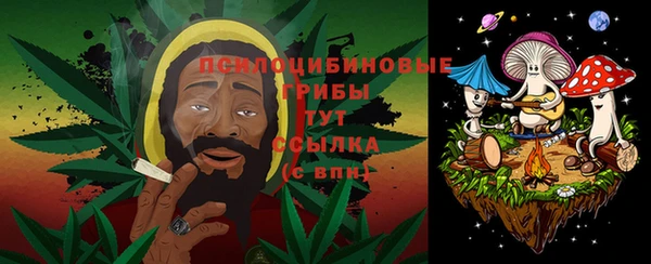 гидра Бугульма