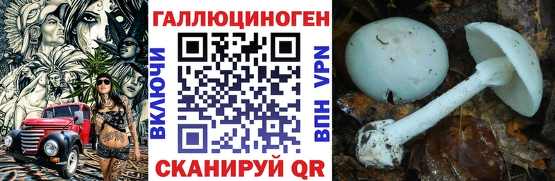 Псилоцибиновые грибы мицелий  Баксан 
